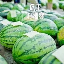 52每日大瓜视频 每日大赛