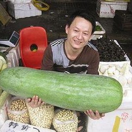 52每日大瓜视频